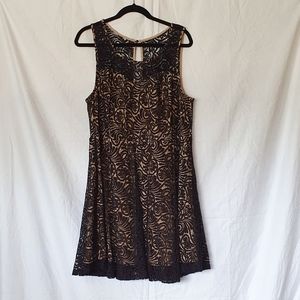 F21 plus black and nude lace skater dress